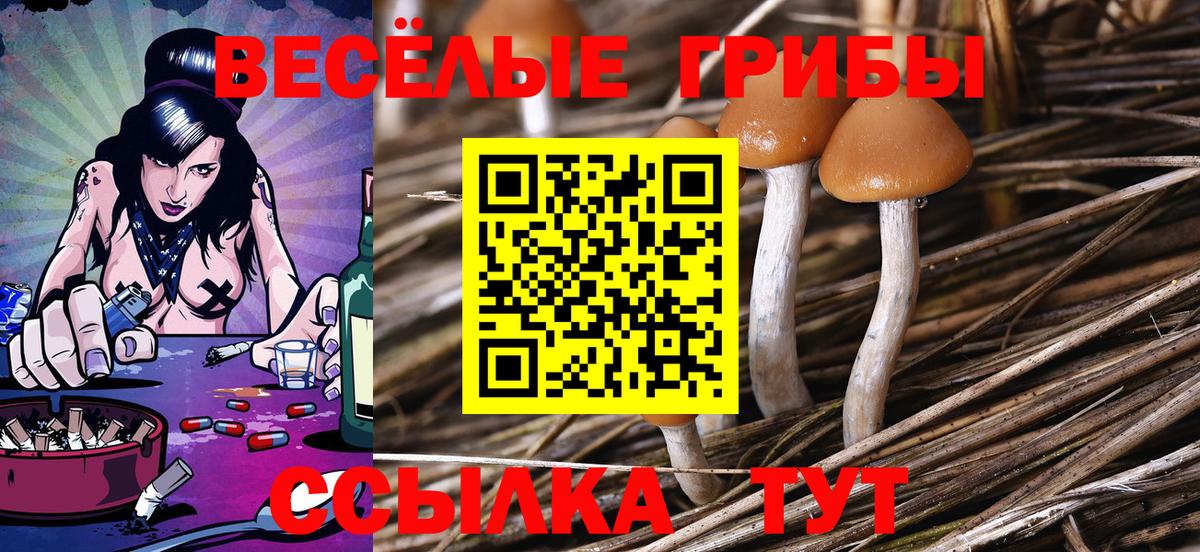 Псилоцибиновые грибы мицелий Люберцы